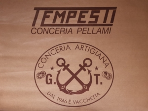 テンペスティ社のロゴ